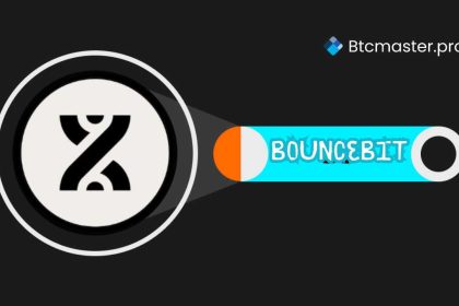 bouncebit