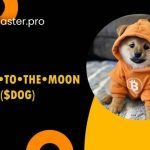 dog go to the moon