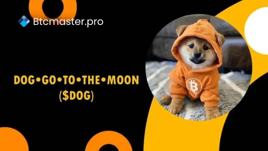 dog go to the moon