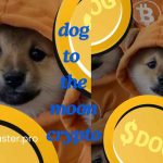 dog to the moon crypto