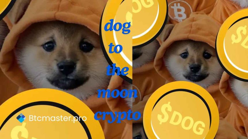 dog to the moon crypto